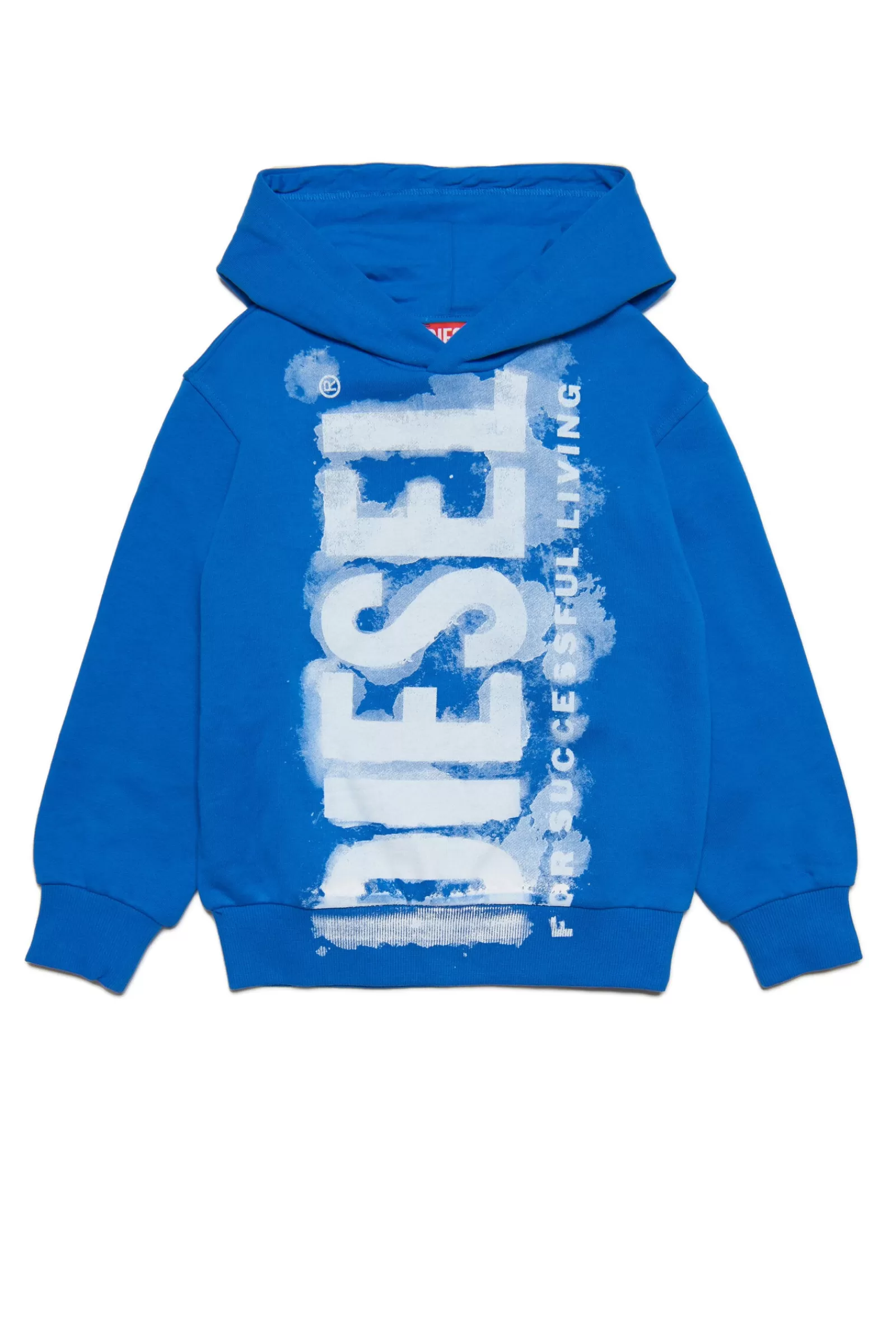 Felpe<DIESEL Felpa Blu Con Cappuccio E Logo Effetto Acquerello Blu Principessa